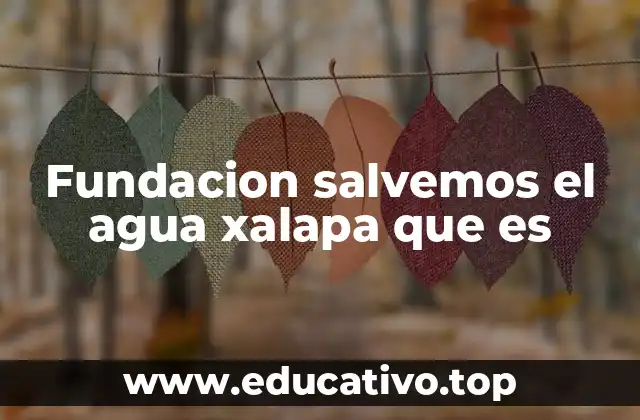 Fundacion salvemos el agua xalapa que es