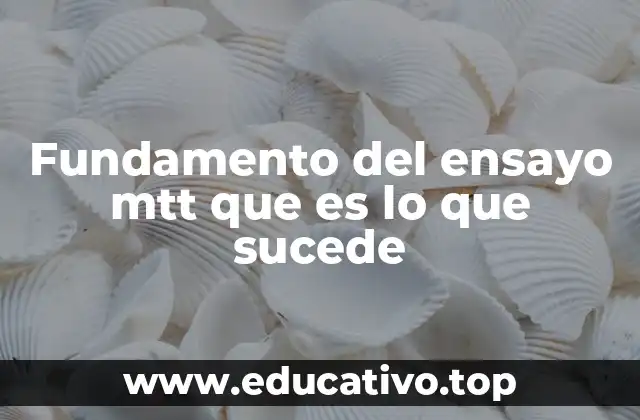 Fundamento del ensayo mtt que es lo que sucede