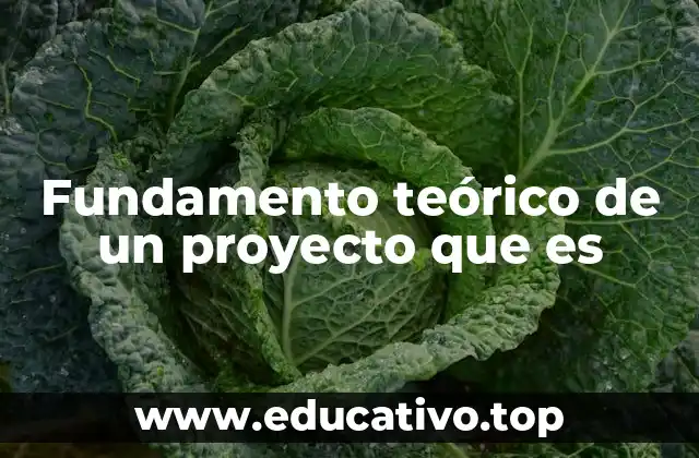 Fundamento teórico de un proyecto que es