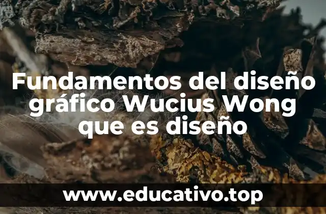 Fundamentos del diseño gráfico Wucius Wong que es diseño