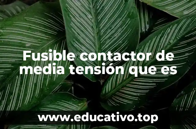 Fusible contactor de media tensión que es