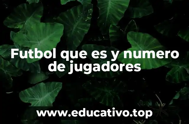 Futbol que es y numero de jugadores