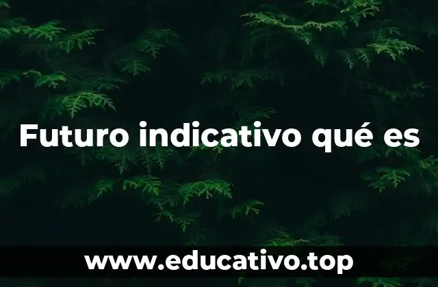 El uso del futuro en la gramática española