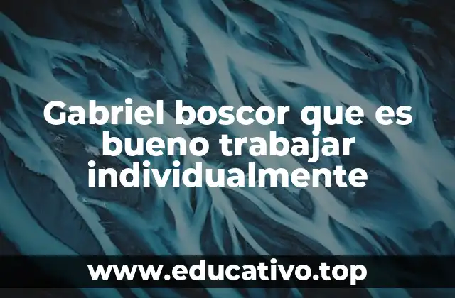 Gabriel boscor que es bueno trabajar individualmente