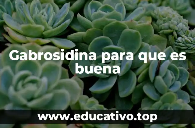 La gabrosidina y su papel en la salud celular