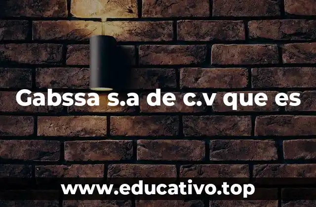 Gabssa s.a de c.v que es