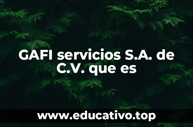 GAFI servicios S.A. de C.V. que es