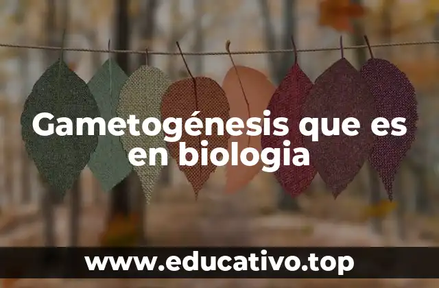 El proceso biológico detrás de la formación de células reproductoras