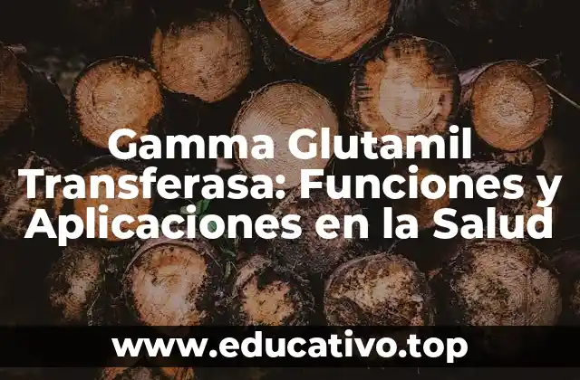 Gamma Glutamil Transferasa: Funciones y Aplicaciones en la Salud