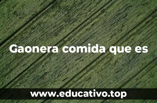 Gaonera comida que es