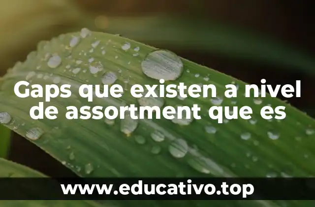 Gaps que existen a nivel de assortment que es