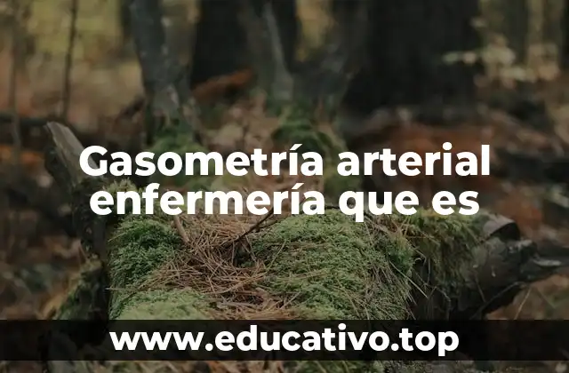 Gasometría arterial enfermería que es