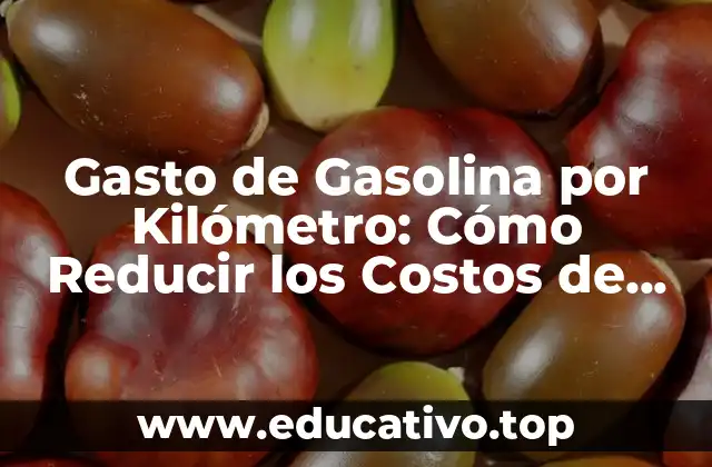 Gasto de Gasolina por Kilómetro: Cómo Reducir los Costos de Combustible