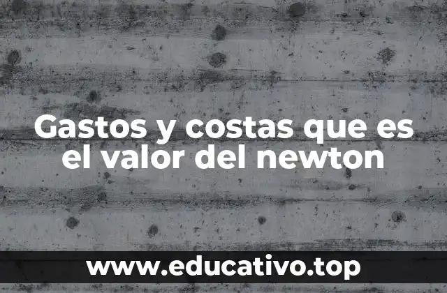Gastos y costas que es el valor del newton