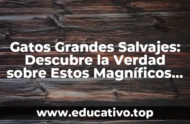 Gatos Grandes Salvajes: Descubre la Verdad sobre Estos Magníficos Animales