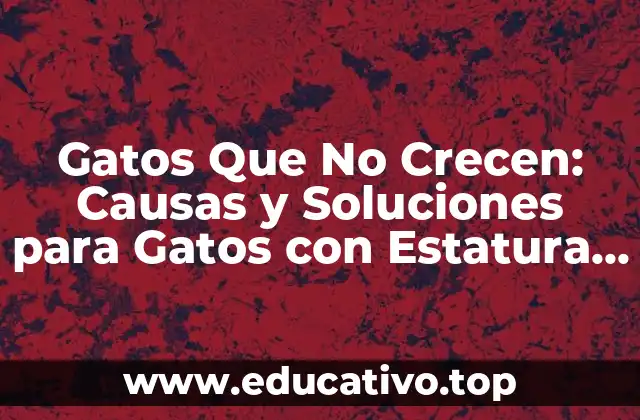 Gatos Que No Crecen: Causas y Soluciones para Gatos con Estatura Limitada