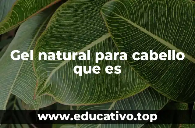 Gel natural para cabello que es