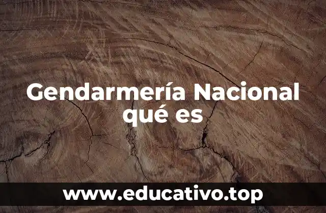 Gendarmería Nacional qué es
