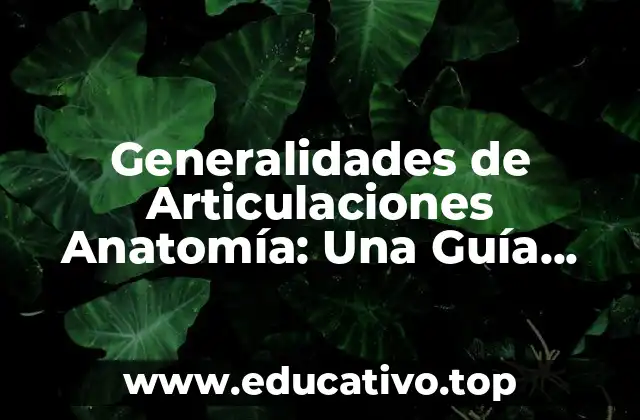 Generalidades de Articulaciones Anatomía: Una Guía Completa