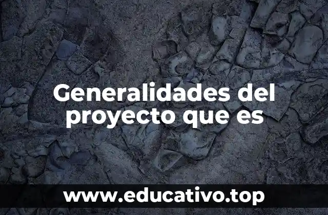 Generalidades del proyecto que es