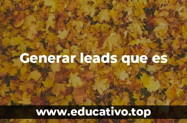 Generar leads que es