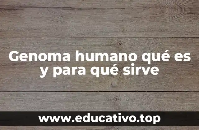 Genoma humano qué es y para qué sirve