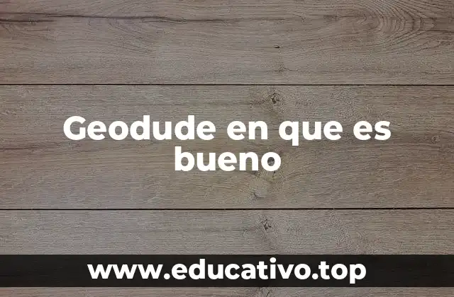 Geodude en que es bueno