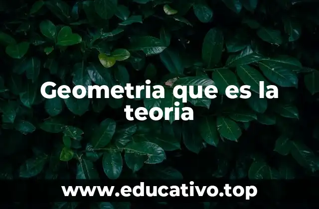 Geometria que es la teoria