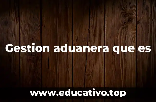 Gestion aduanera que es