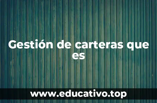 Gestión de carteras que es