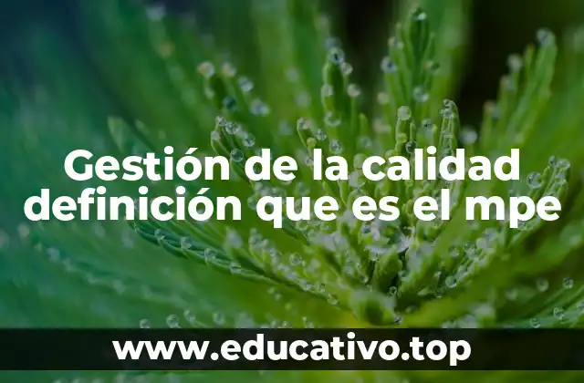 Gestión de la calidad definición que es el mpe