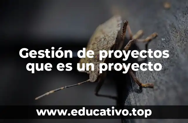 Gestión de proyectos que es un proyecto