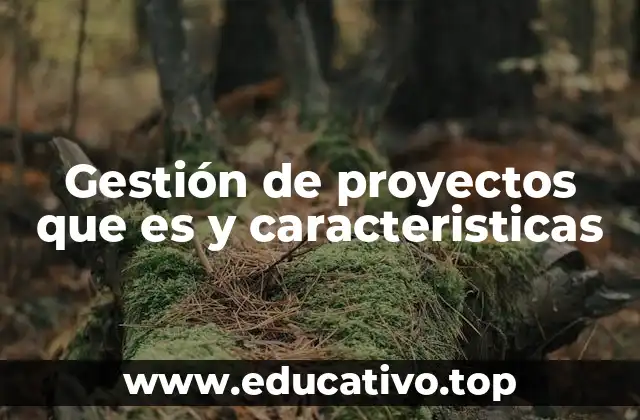 Gestión de proyectos que es y caracteristicas