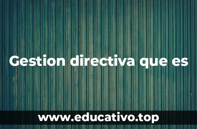 Gestion directiva que es