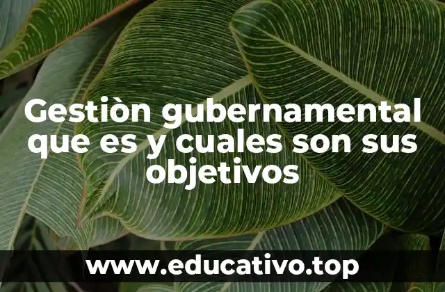 Gestiòn gubernamental que es y cuales son sus objetivos