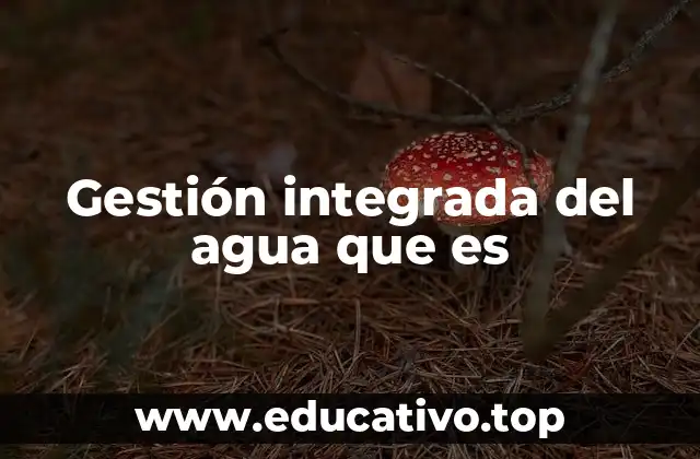 Gestión integrada del agua que es