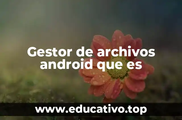 Gestor de archivos android que es