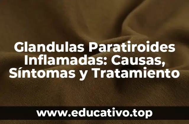 Glandulas Paratiroides Inflamadas: Causas, Síntomas y Tratamiento
