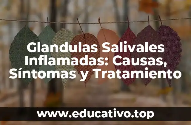 Glandulas Salivales Inflamadas: Causas, Síntomas y Tratamiento