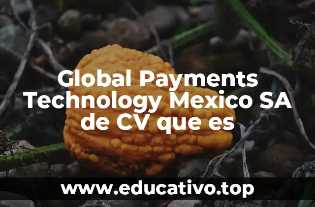 Global Payments Technology Mexico SA de CV que es