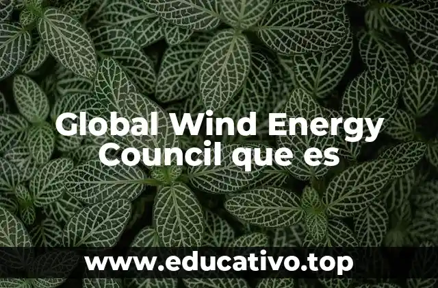 Global Wind Energy Council que es