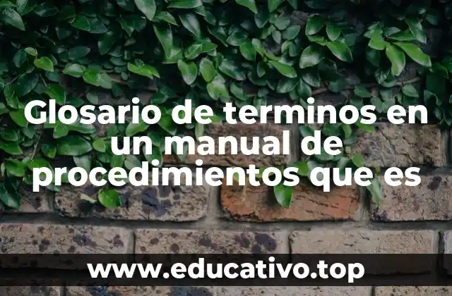 Glosario de terminos en un manual de procedimientos que es