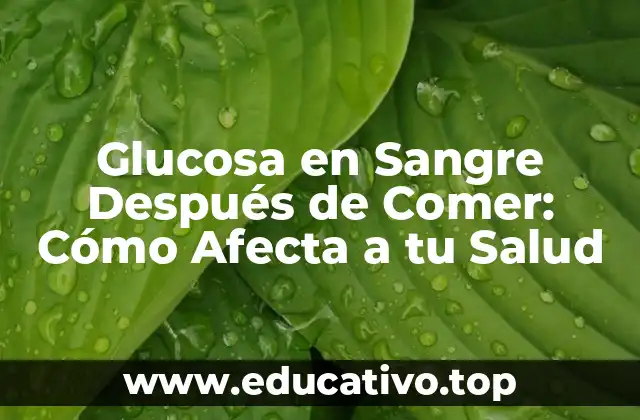 Glucosa en Sangre Después de Comer: Cómo Afecta a tu Salud