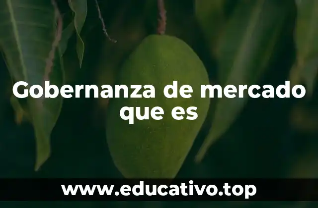 Gobernanza de mercado que es
