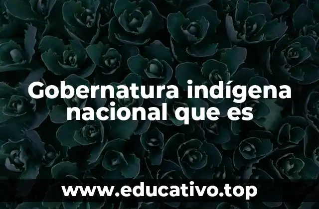 Gobernatura indígena nacional que es