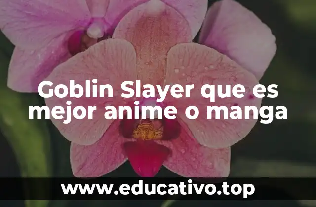 Goblin Slayer que es mejor anime o manga