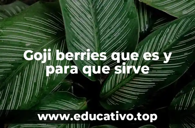 Goji berries que es y para que sirve