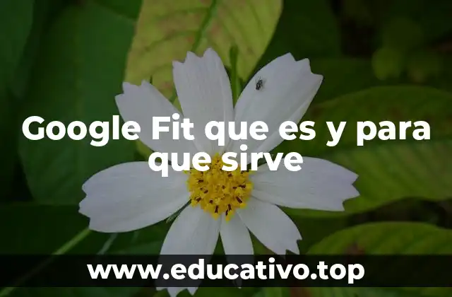Google Fit que es y para que sirve