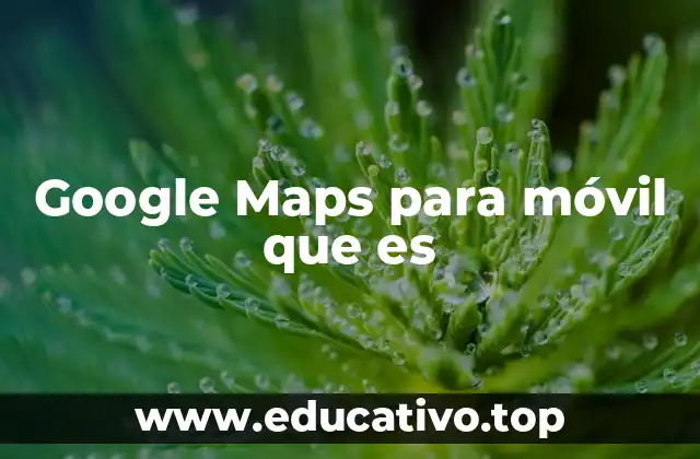Google Maps para móvil que es