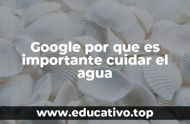 Google por que es importante cuidar el agua